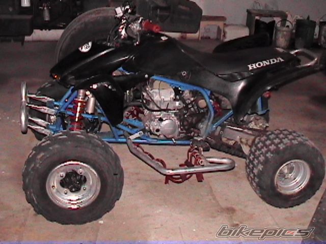 Photo 1004183