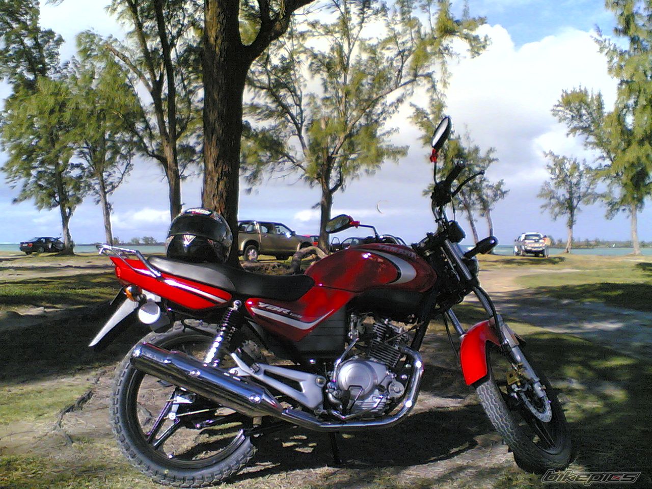 Photo 1004193
