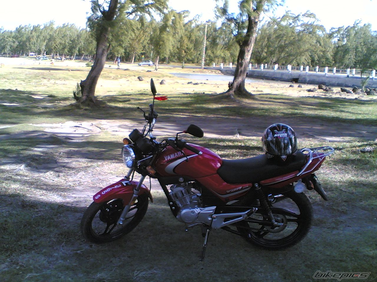 Photo 1004195