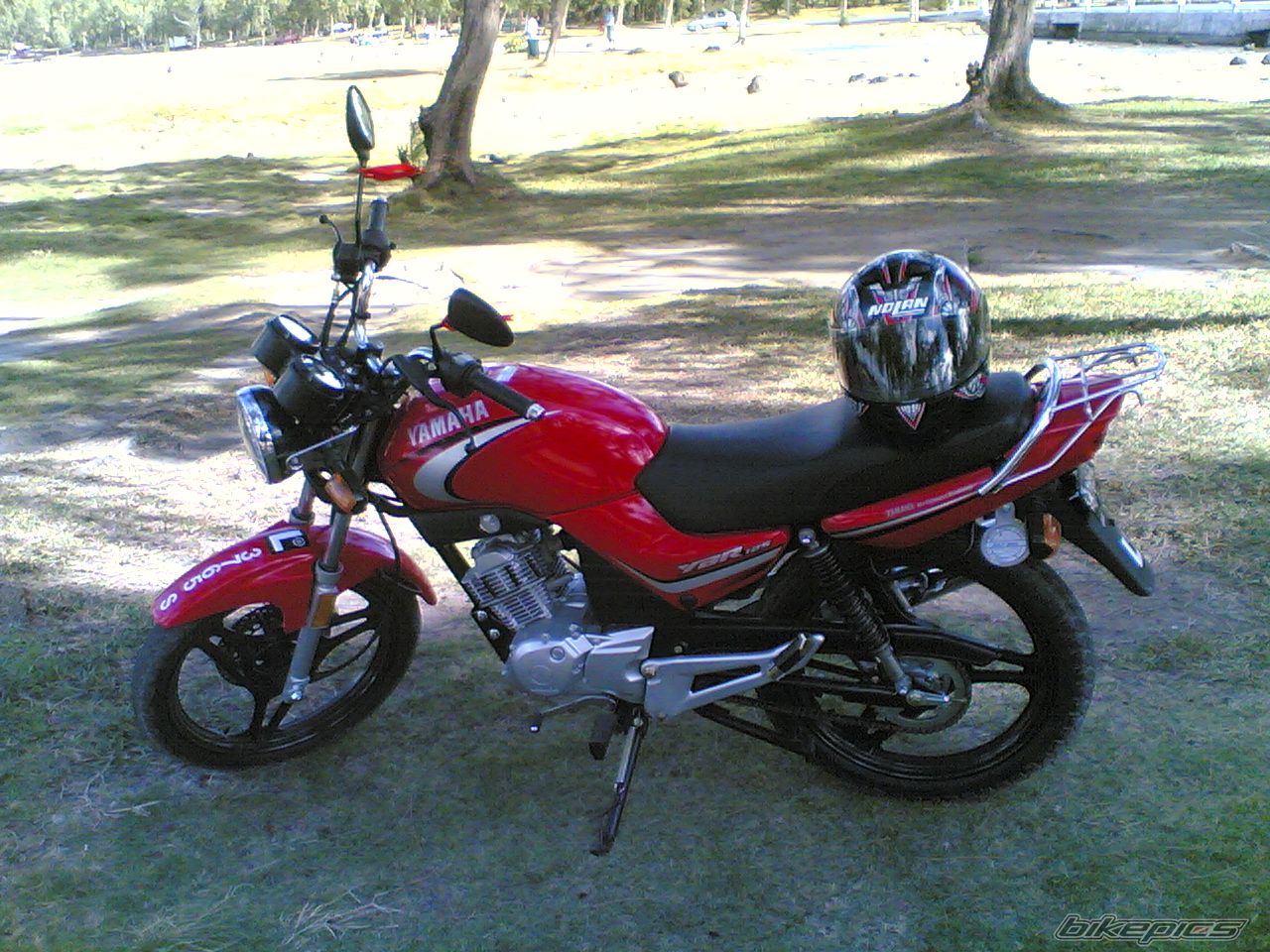 Photo 1004198