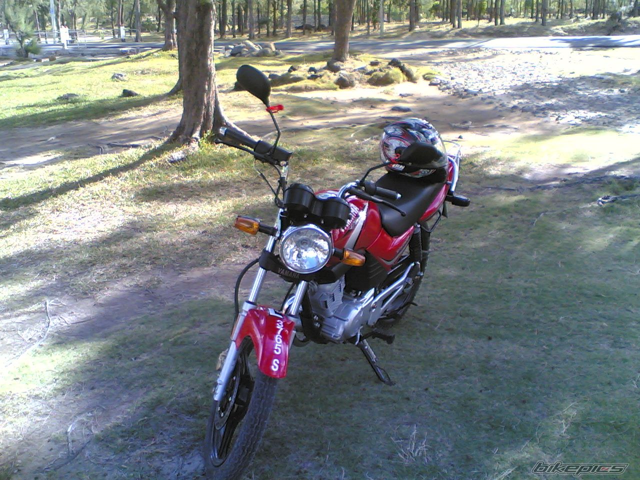 Photo 1004201