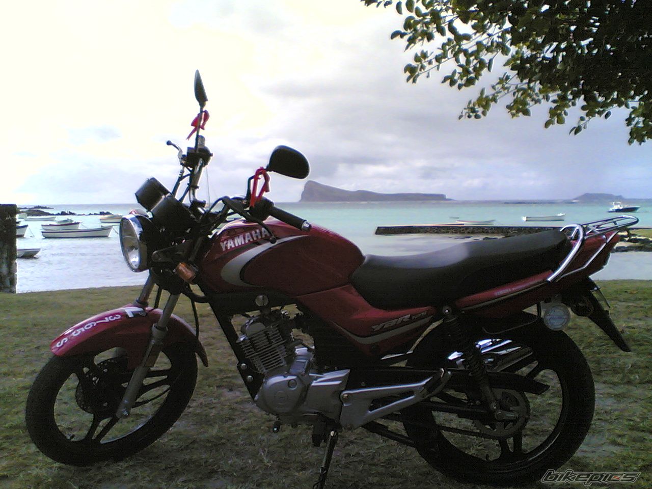 Photo 1004203
