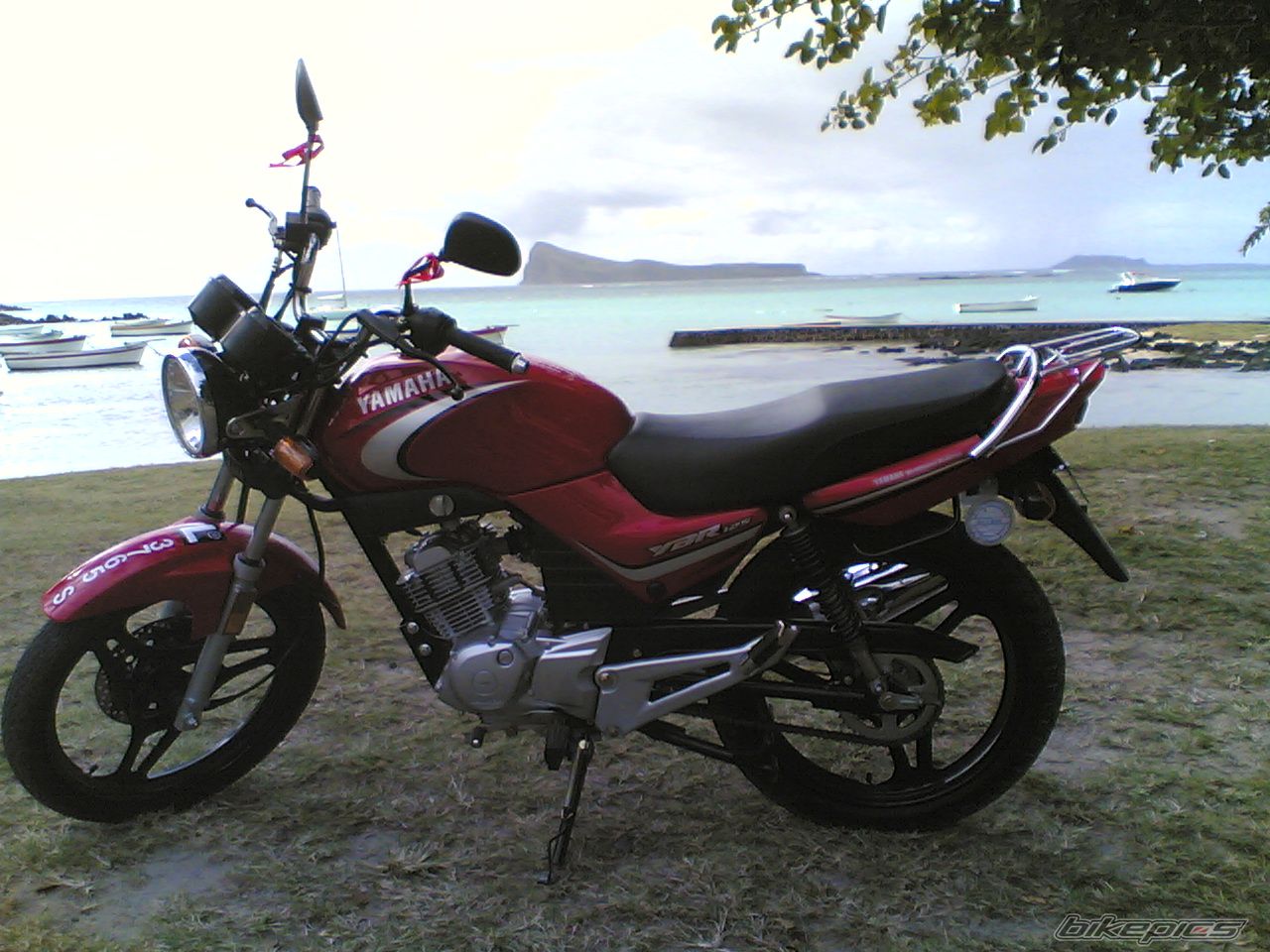 Photo 1004204