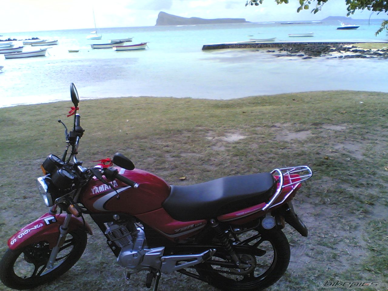 Photo 1004205