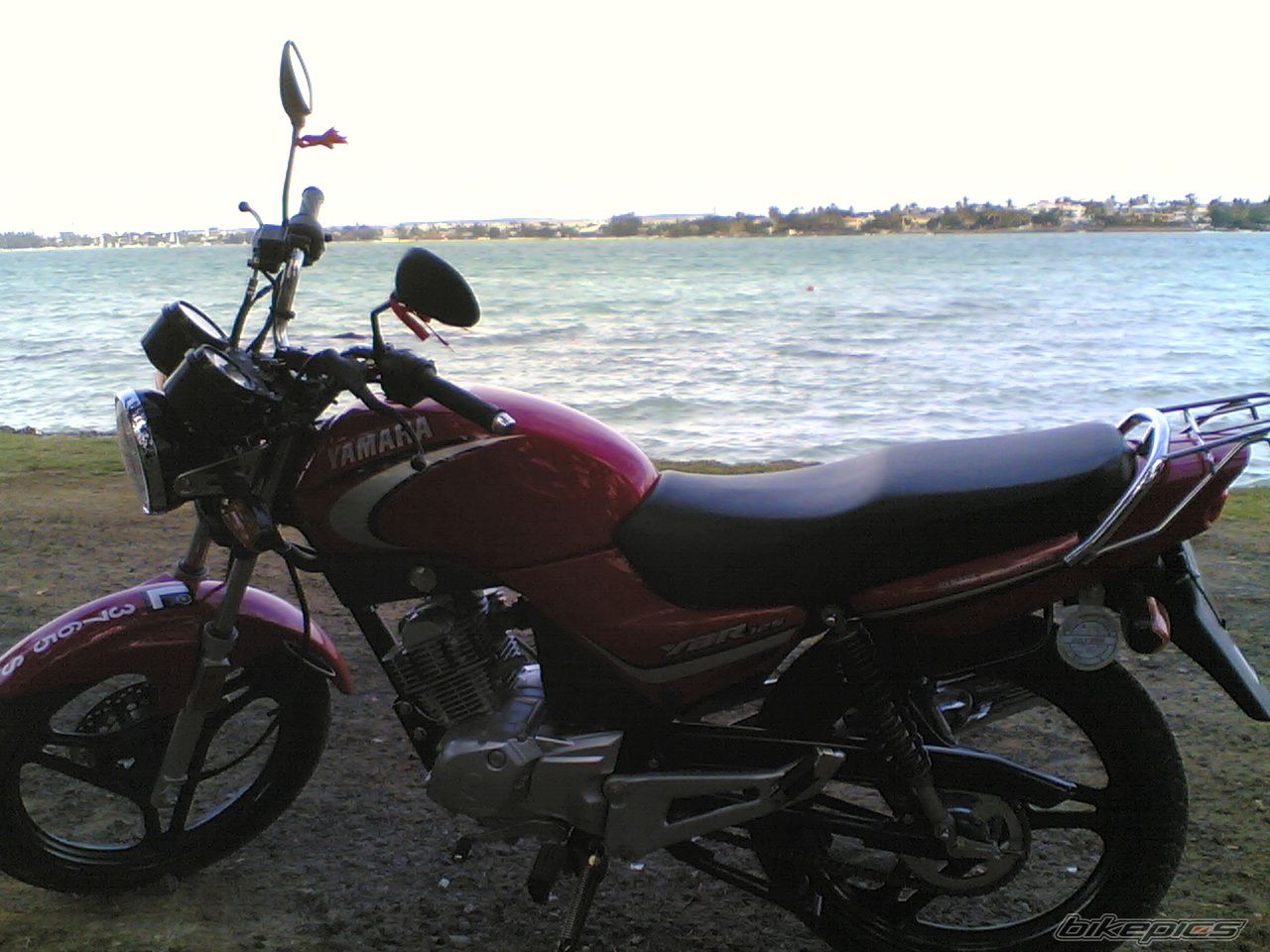 Photo 1004208