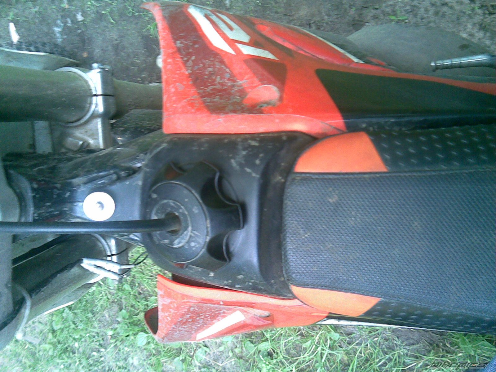 Photo 1004276