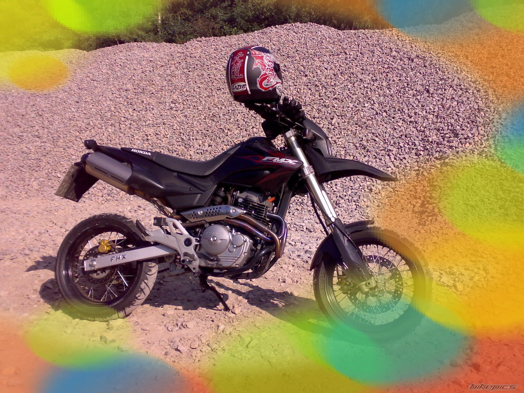 Photo 1004303