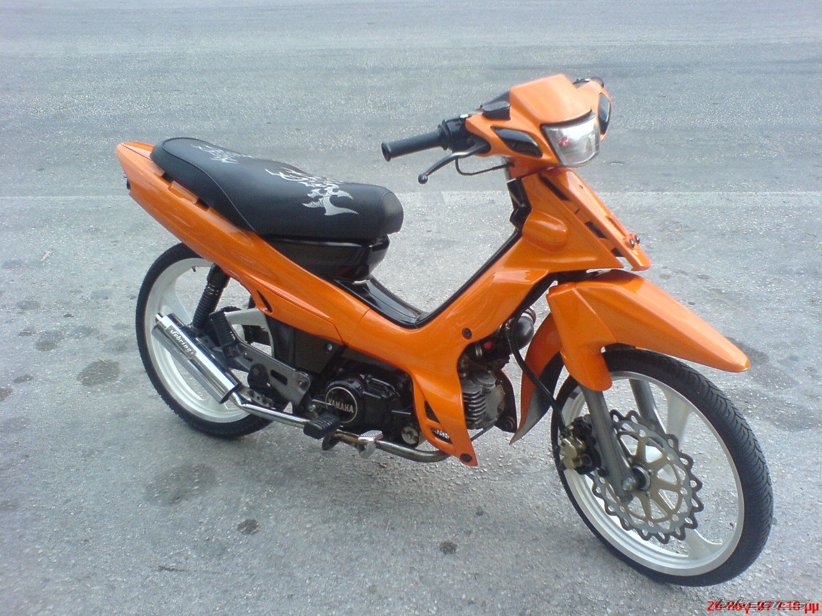 Photo 1004316