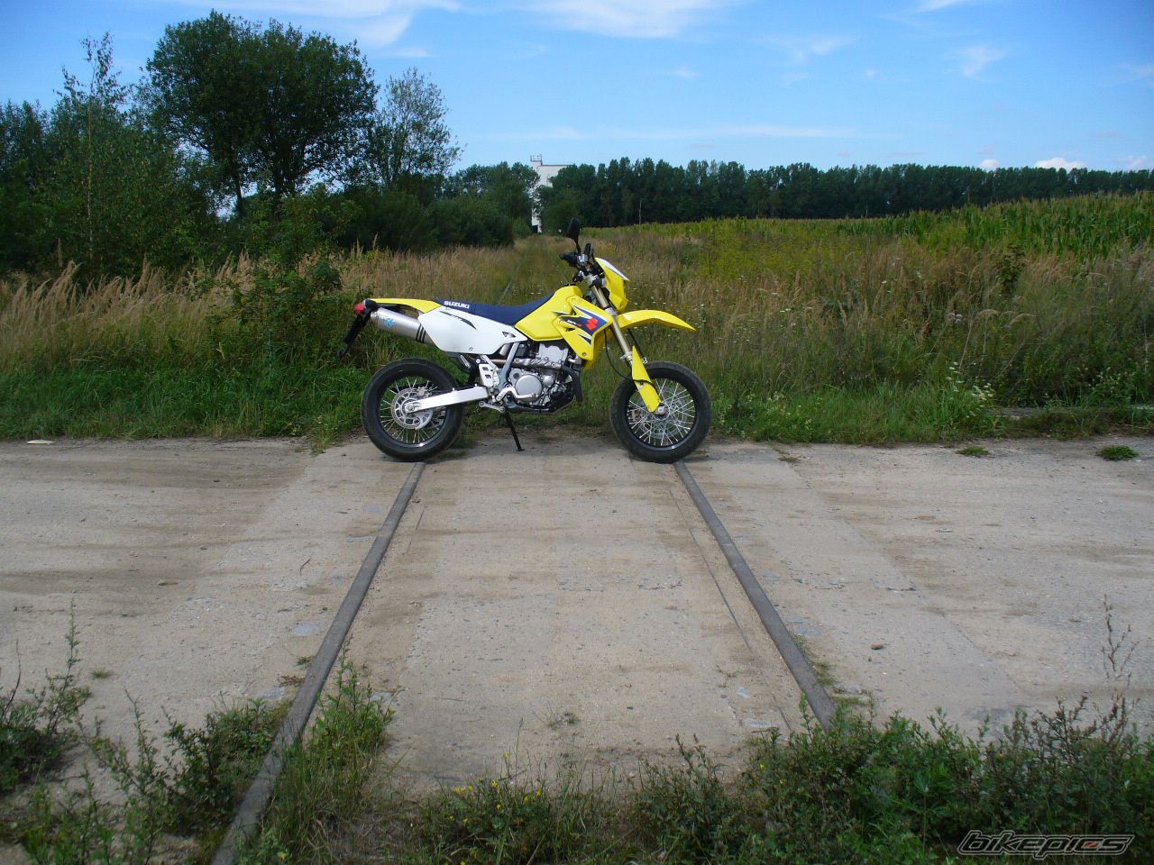 Photo 1004329