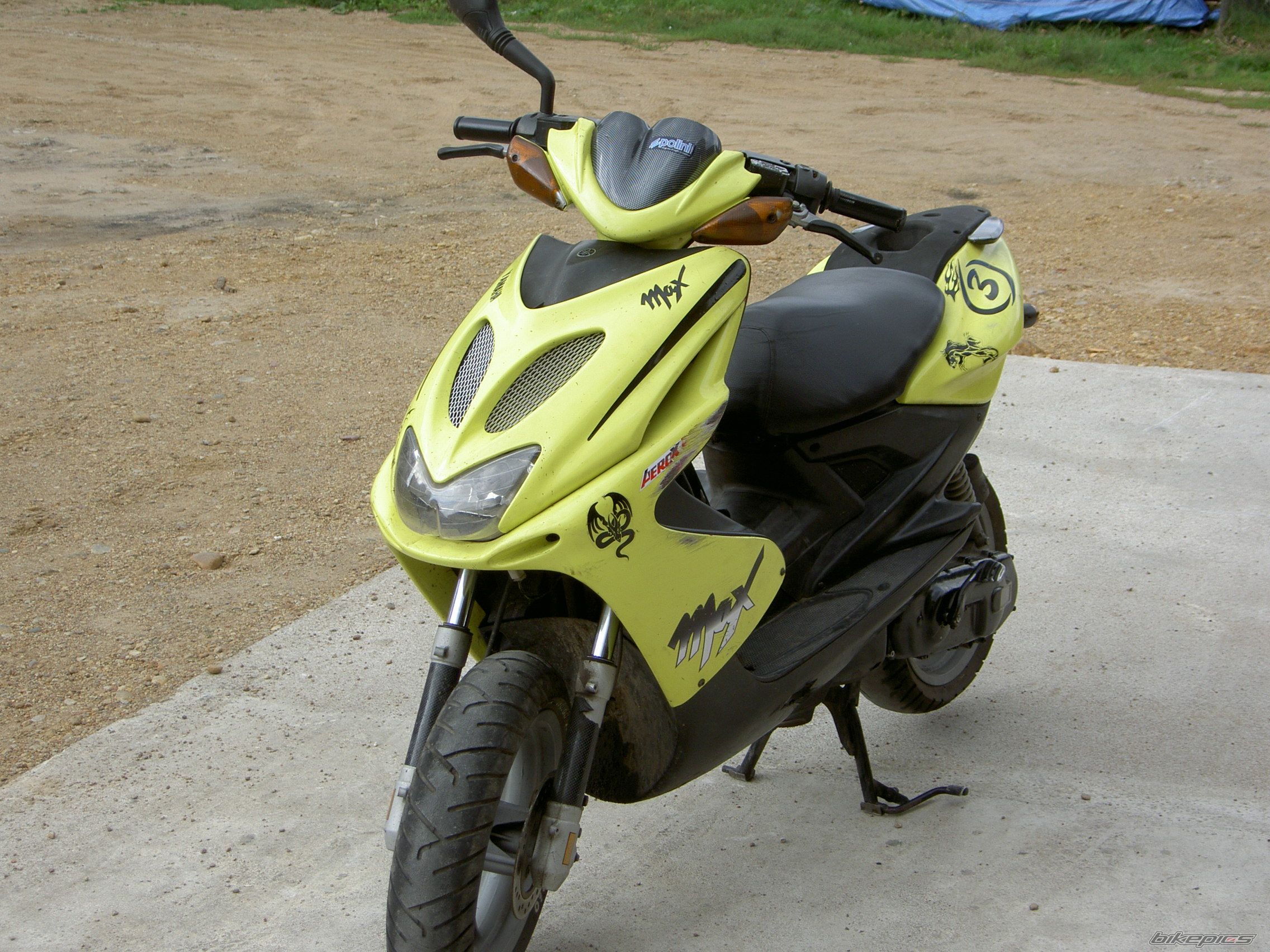 Photo 1004348