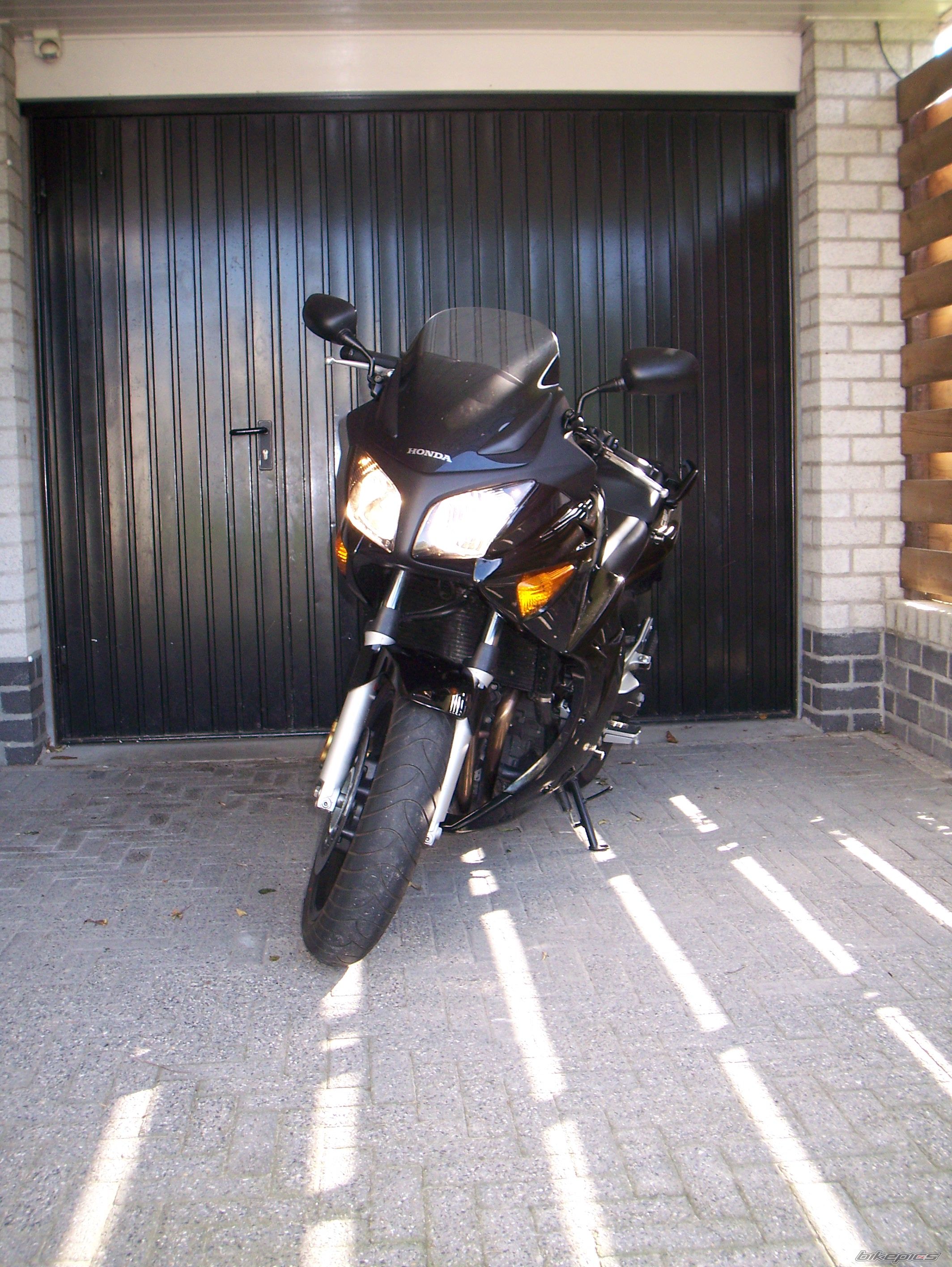 Photo 1004388
