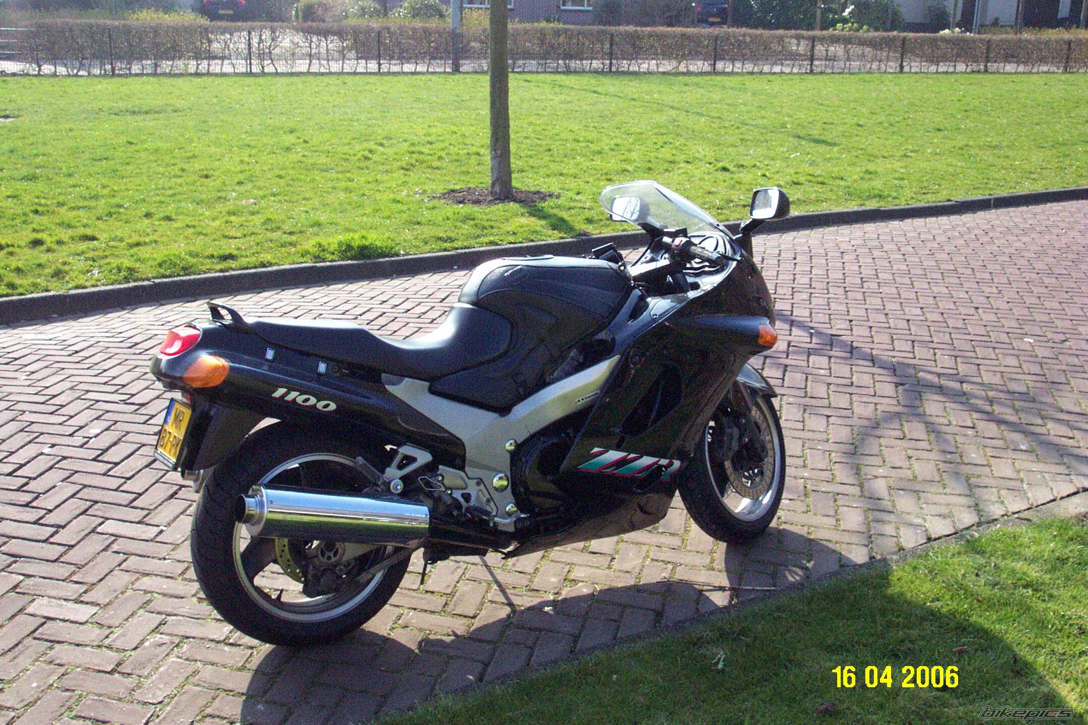 Photo 1004392