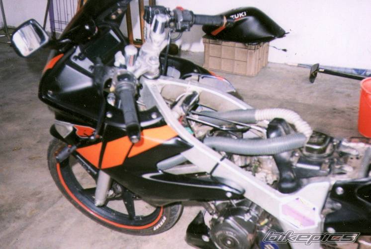 Photo 100447