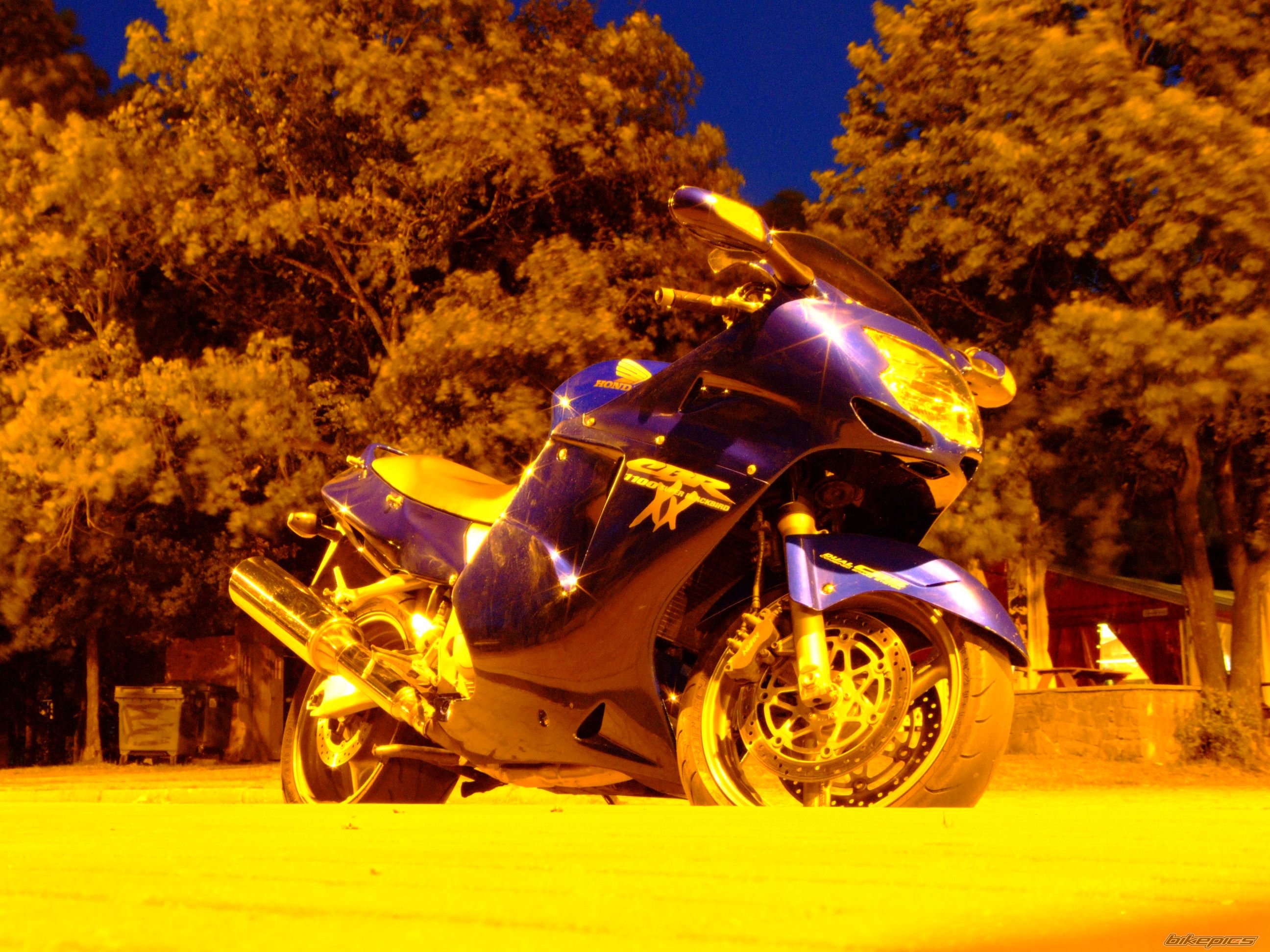 Photo 1004483