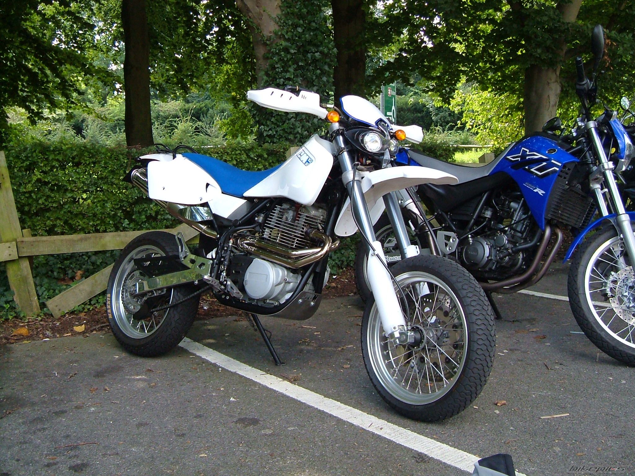 Photo 1004495