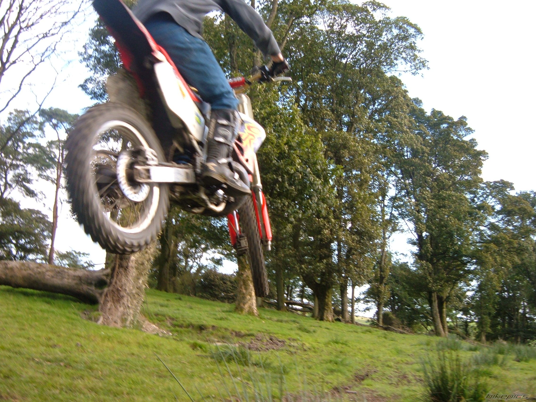 Photo 1004520
