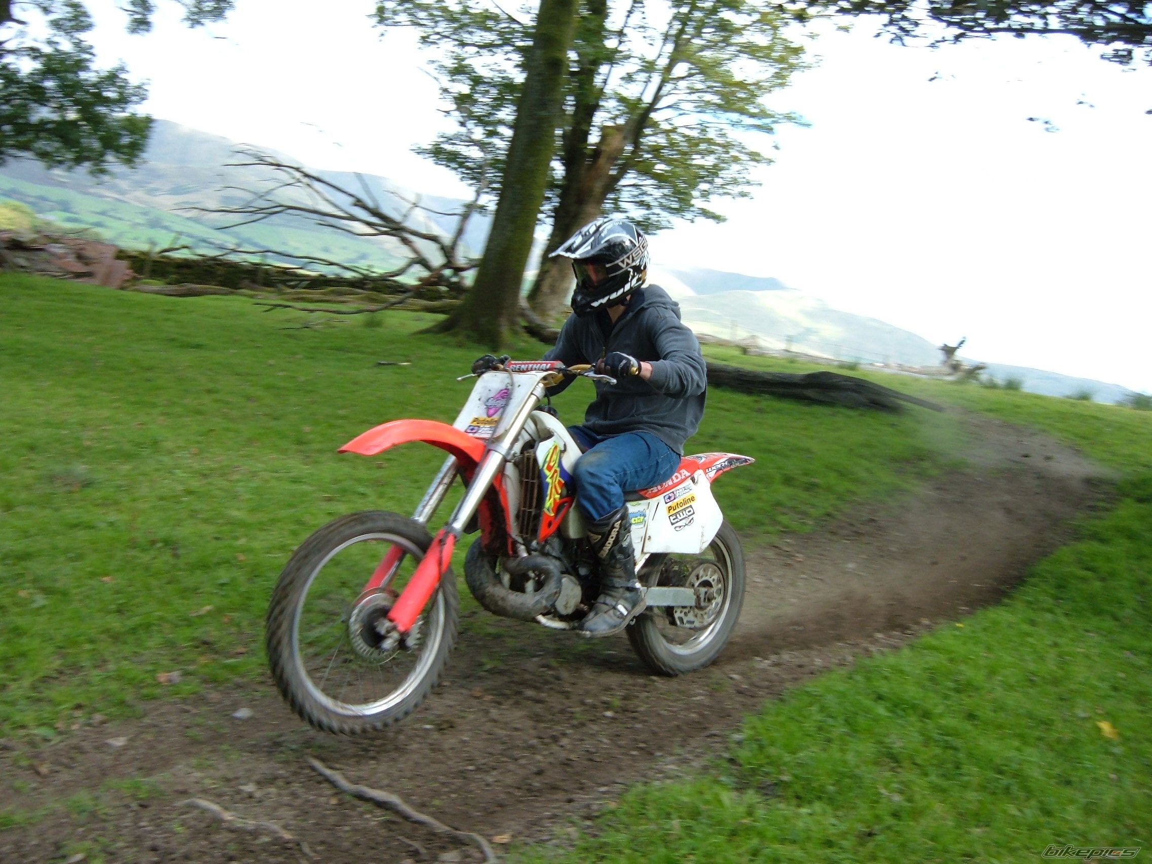Photo 1004521