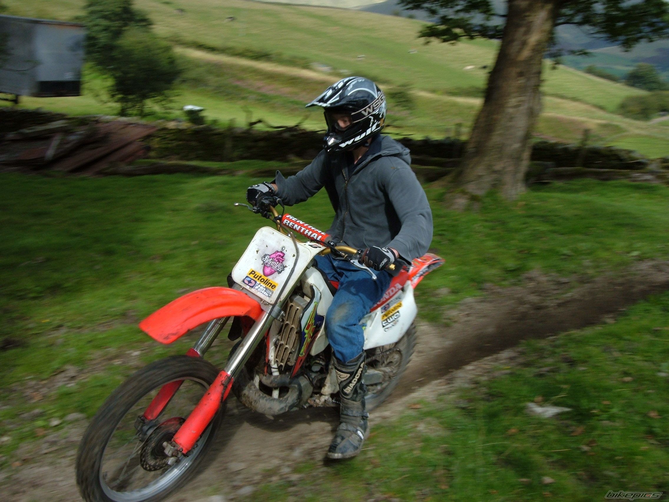 Photo 1004522
