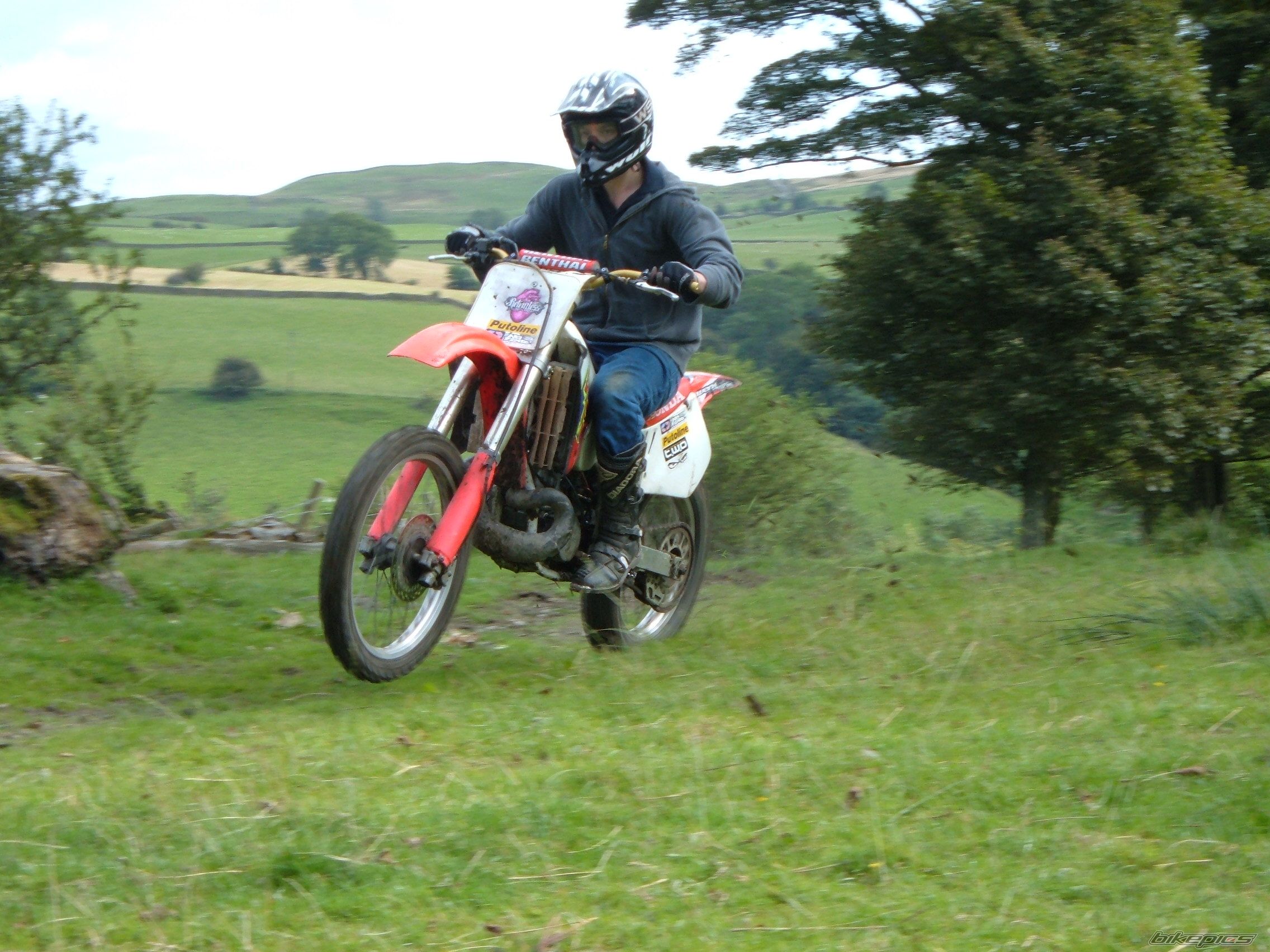 Photo 1004524