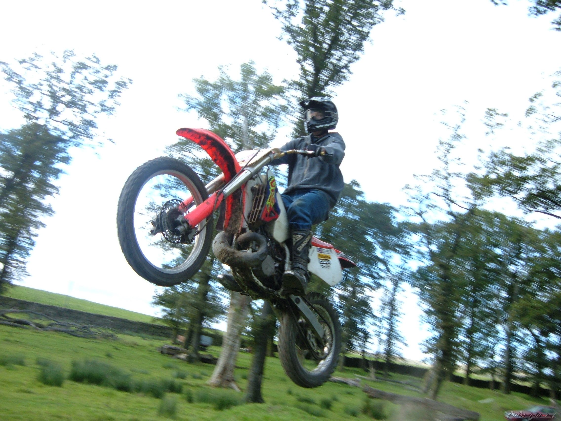Photo 1004529