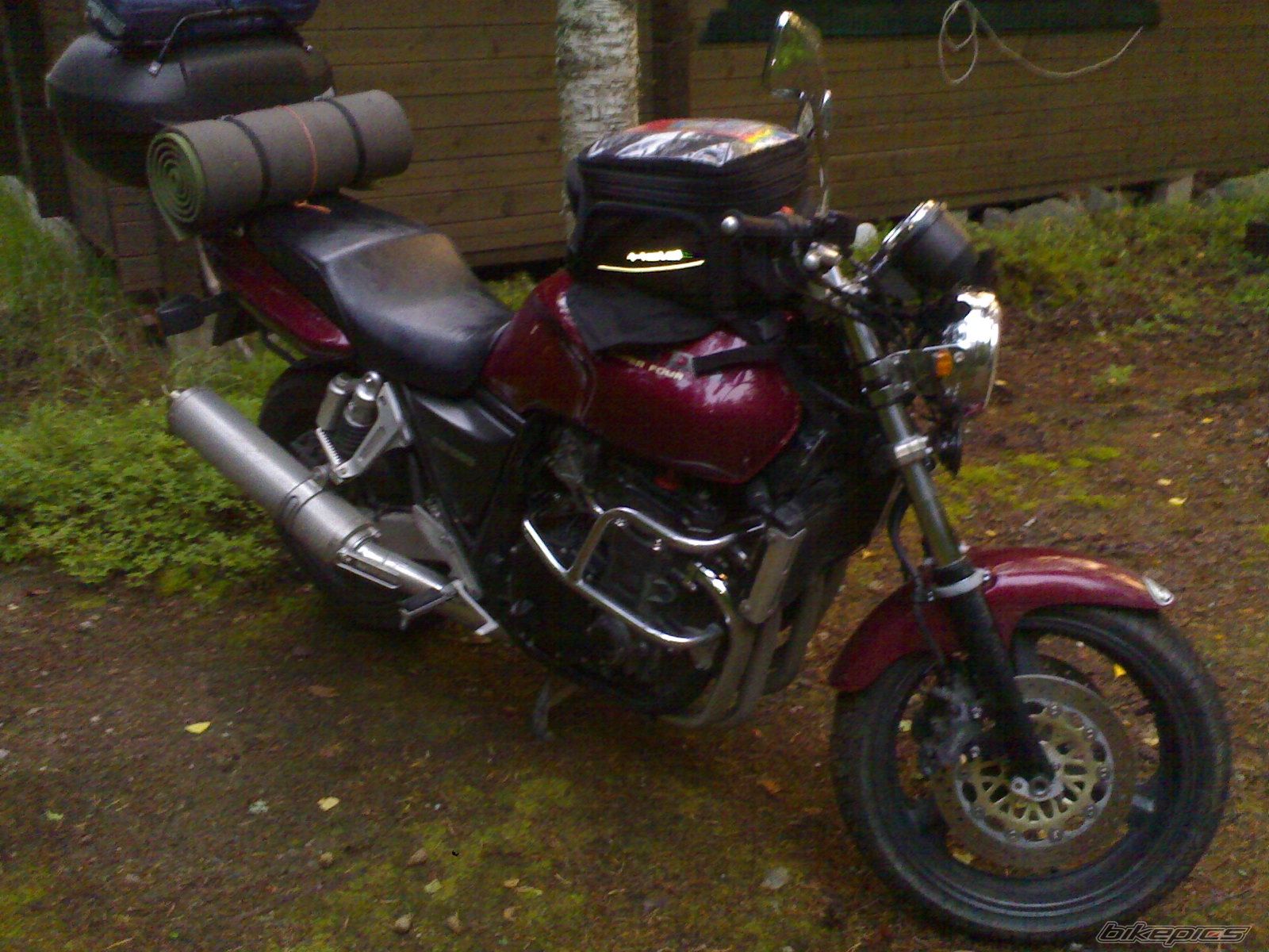 Photo 1004579