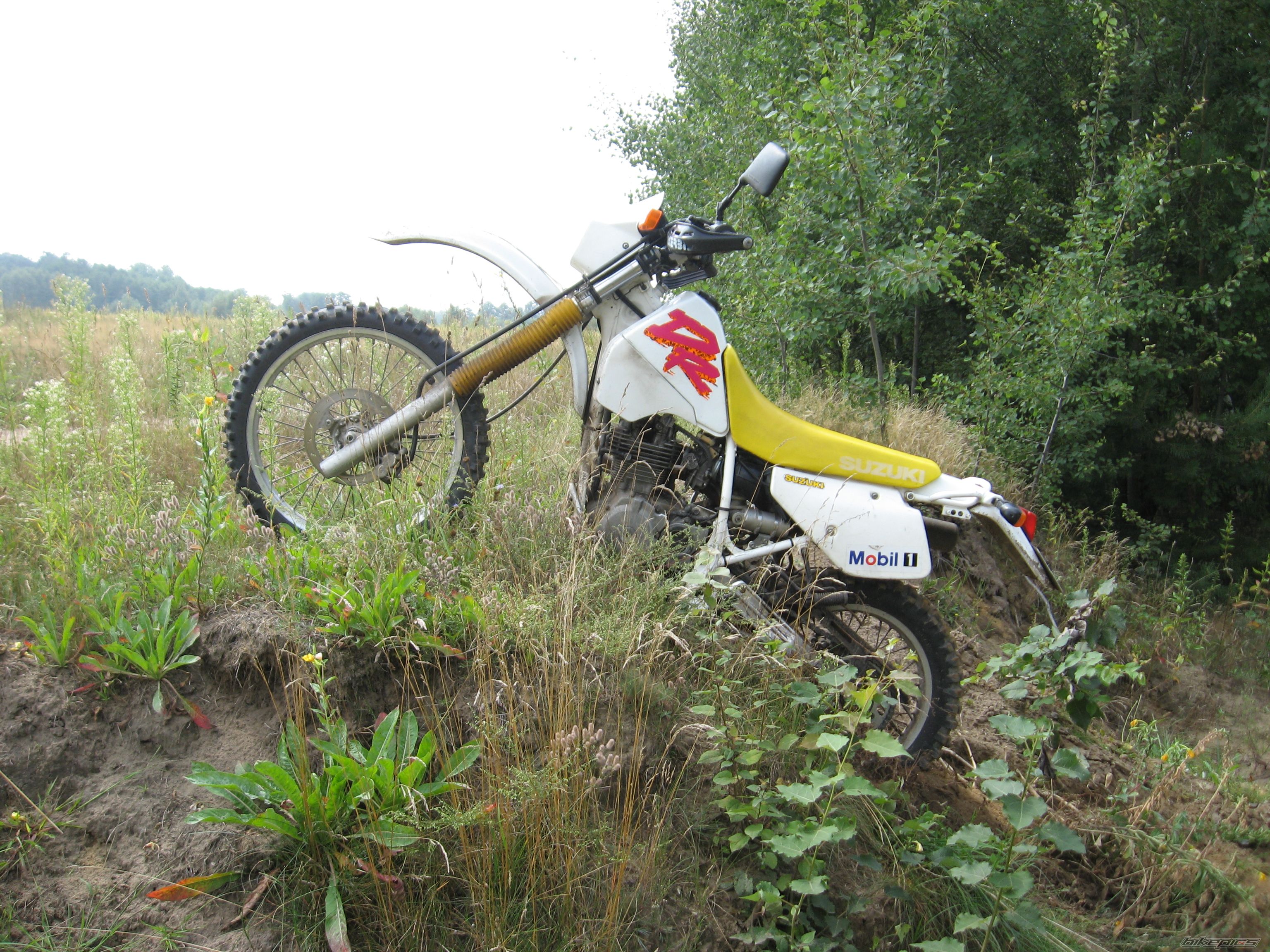 Photo 1004591