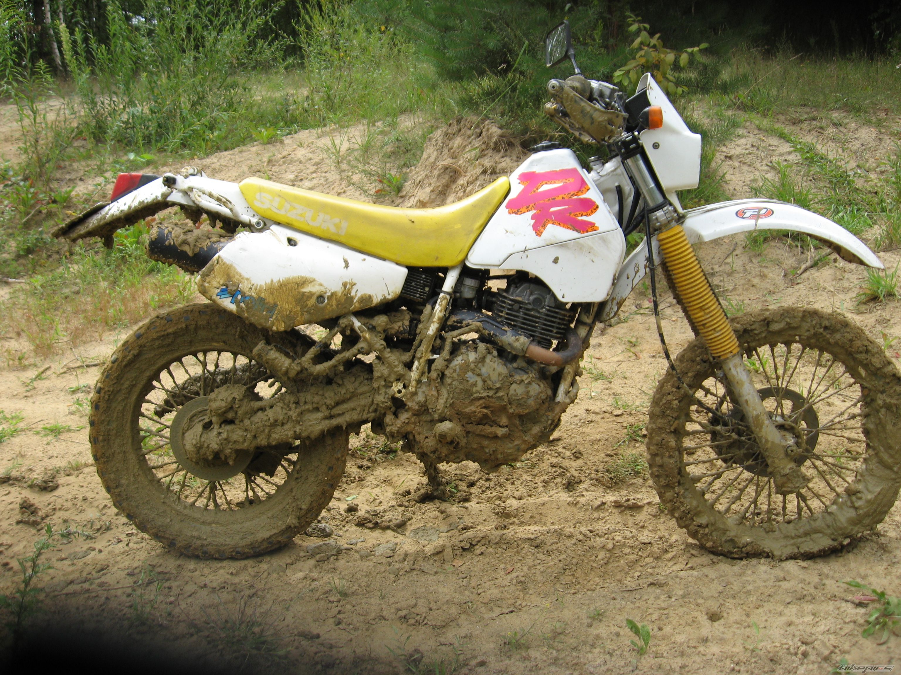 Photo 1004594