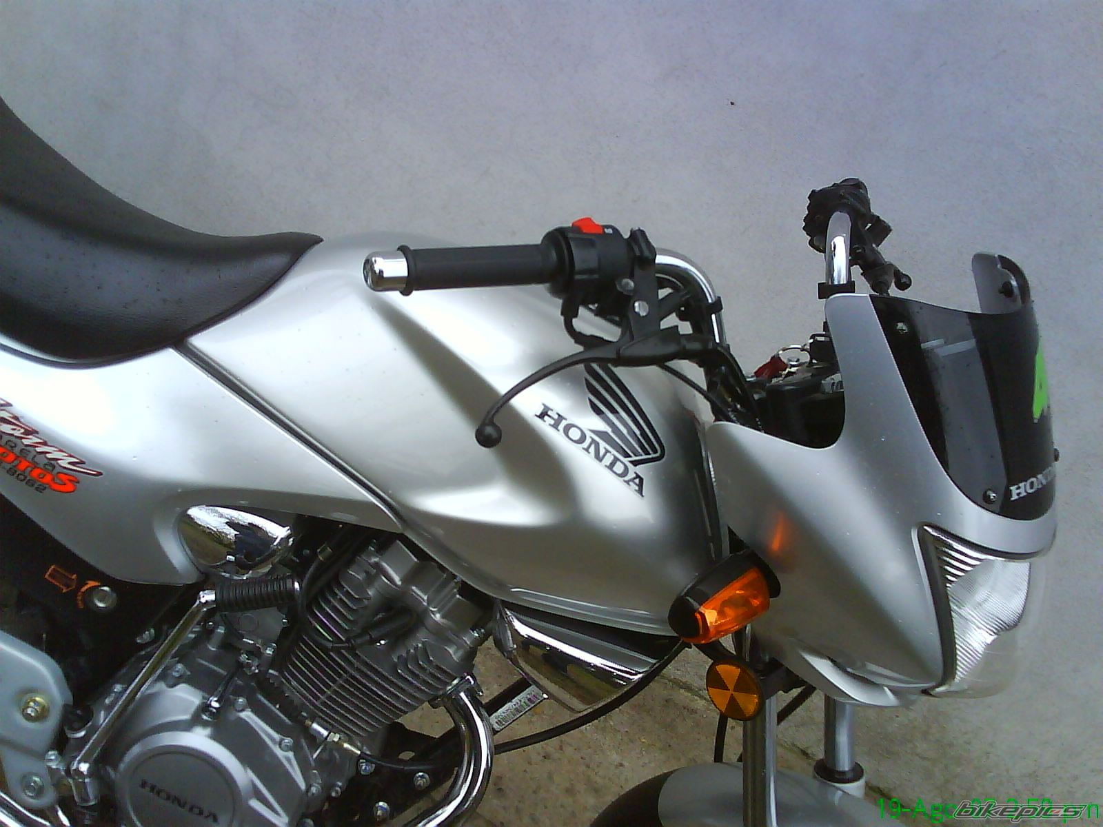 Photo 1004595
