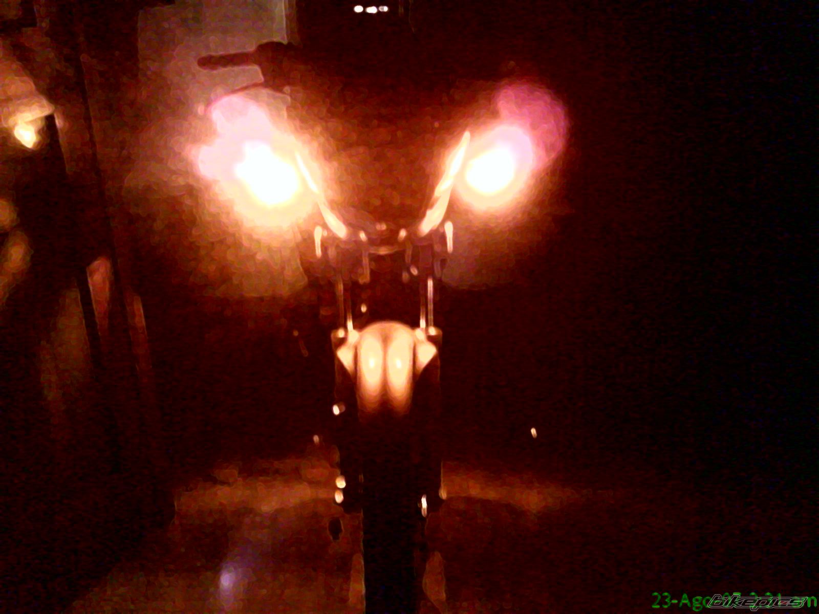 Photo 1004625