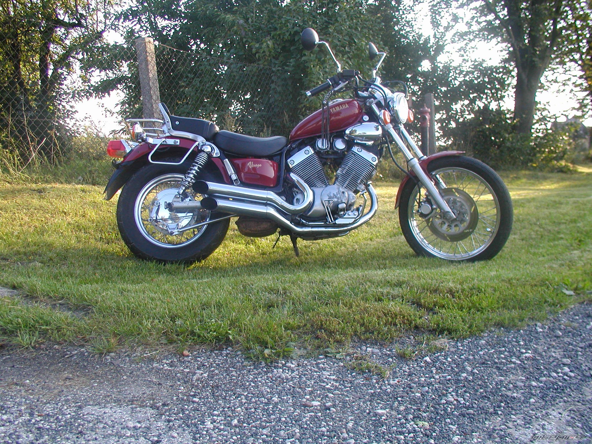 Photo 1004639