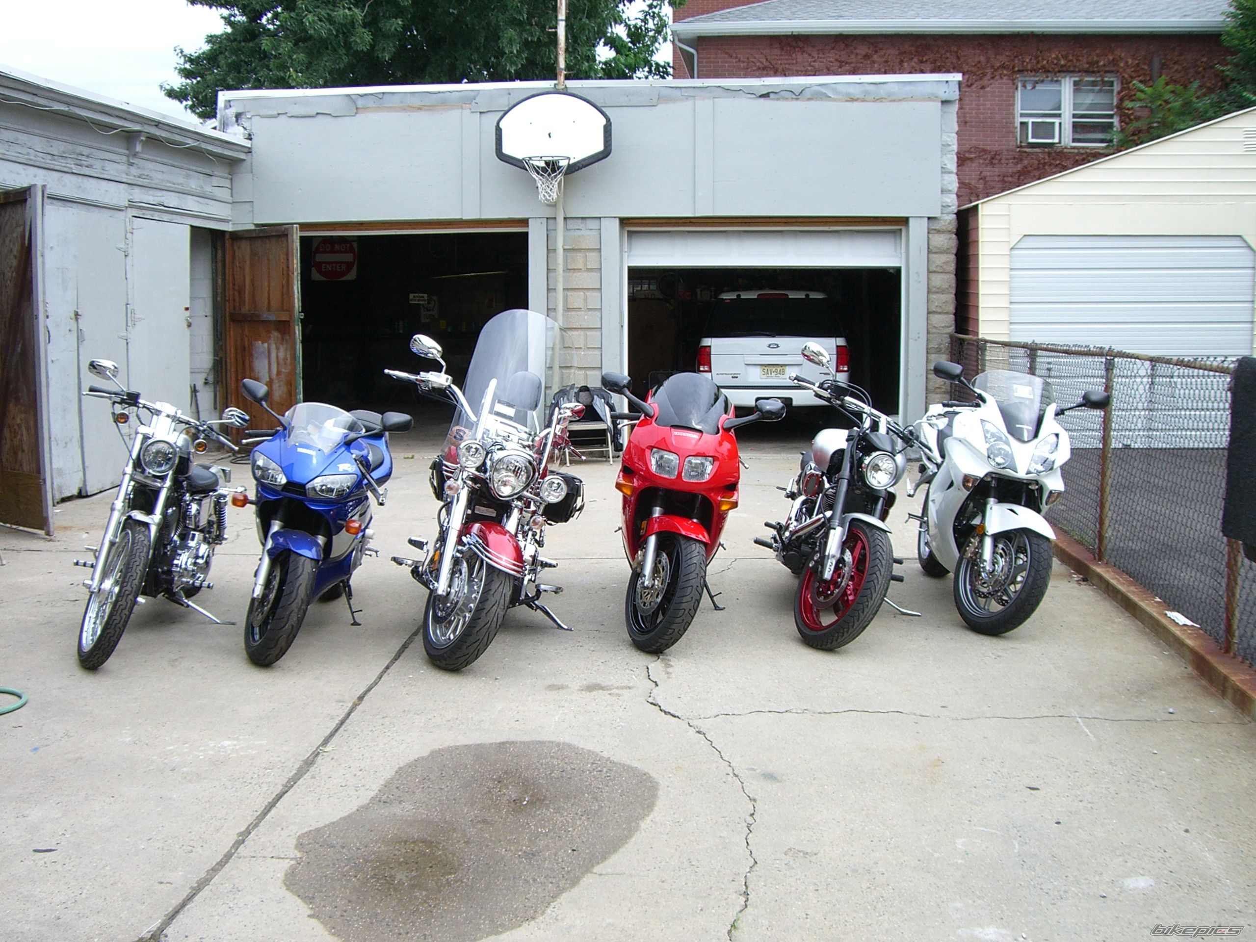 Photo 1004650