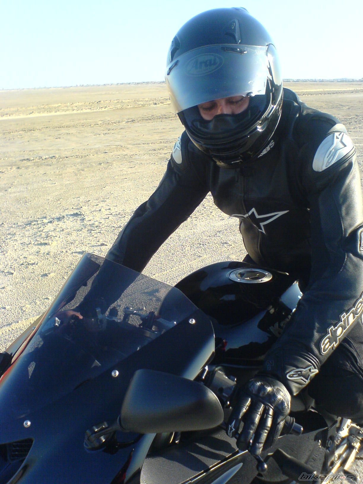 Photo 1004659