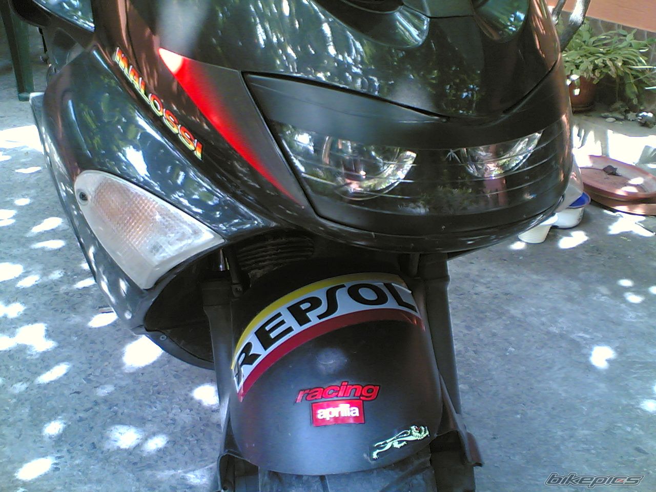 Photo 1004673