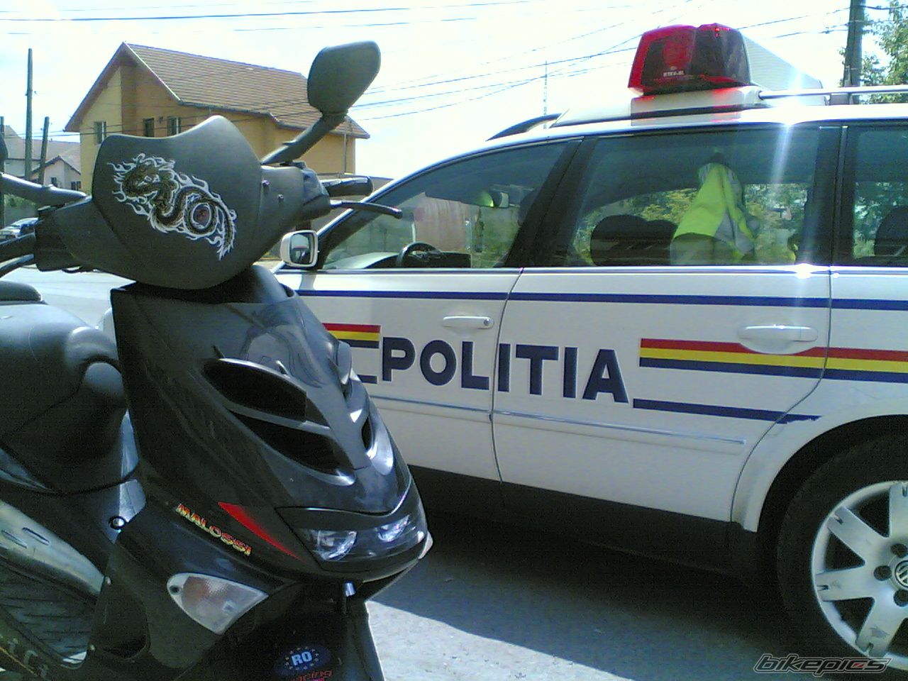 Photo 1004684