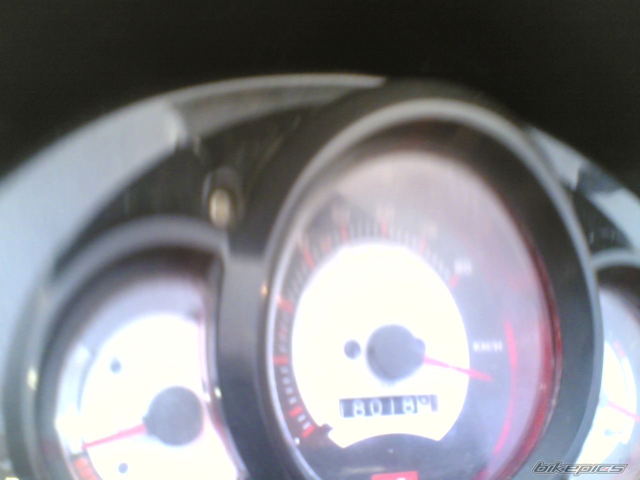 Photo 1004685