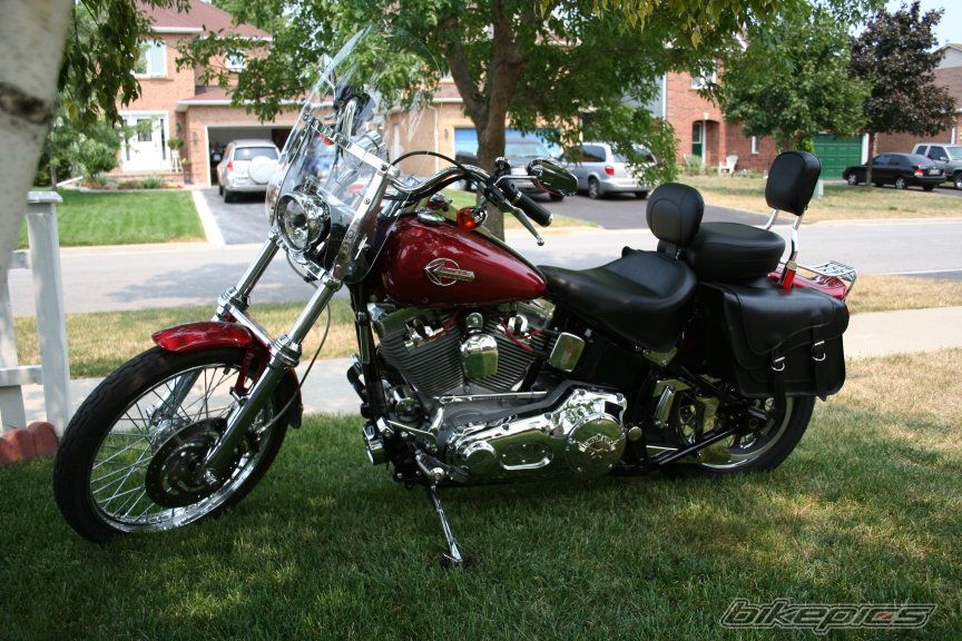 Photo 1004716
