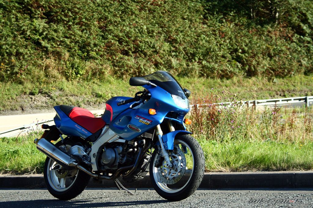 Photo 1004725