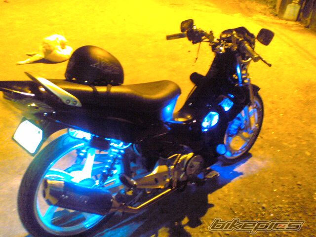 Photo 1004780