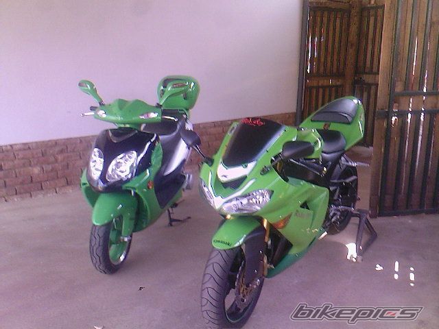 Photo 1004817