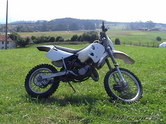Photo 1004869