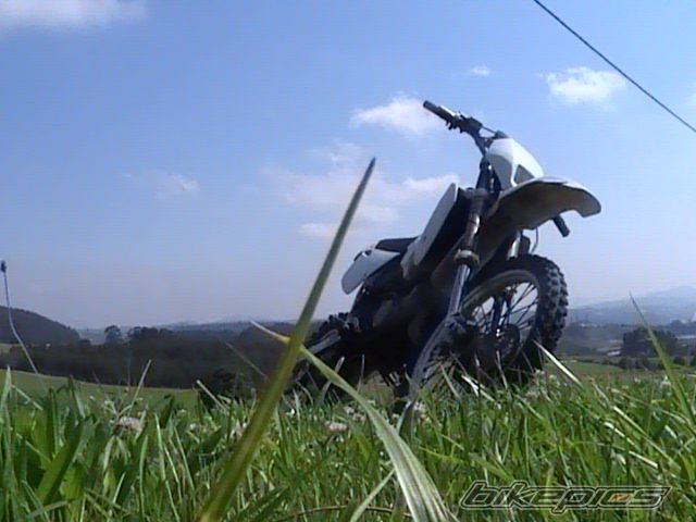 Photo 1004871
