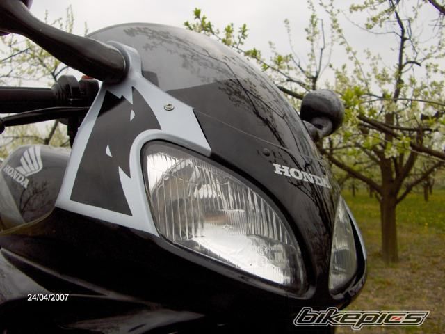 Photo 1004883