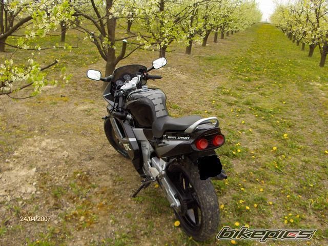 Photo 1004884