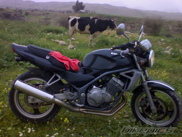 Bike Photo 1004930