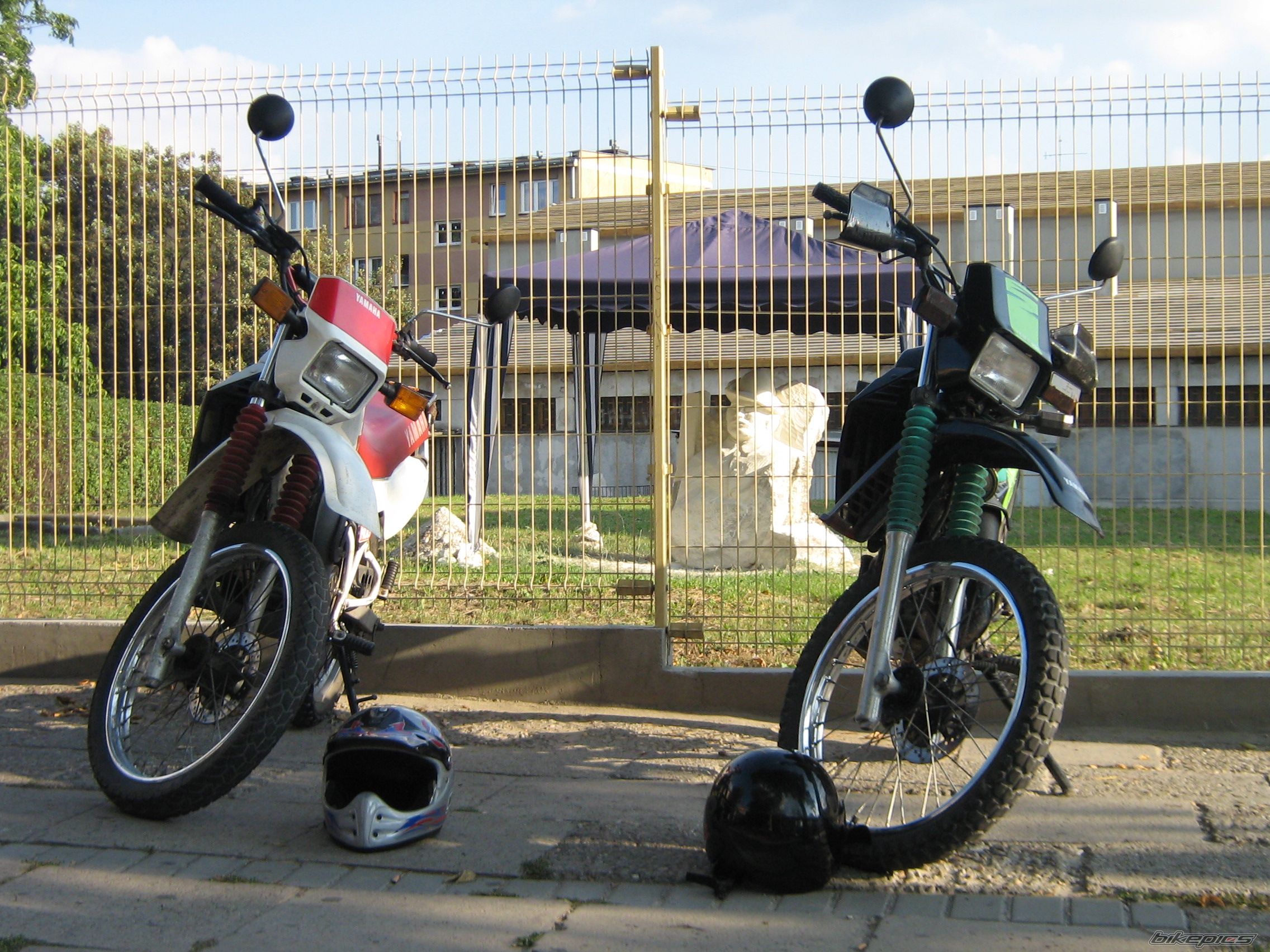 Photo 1004936