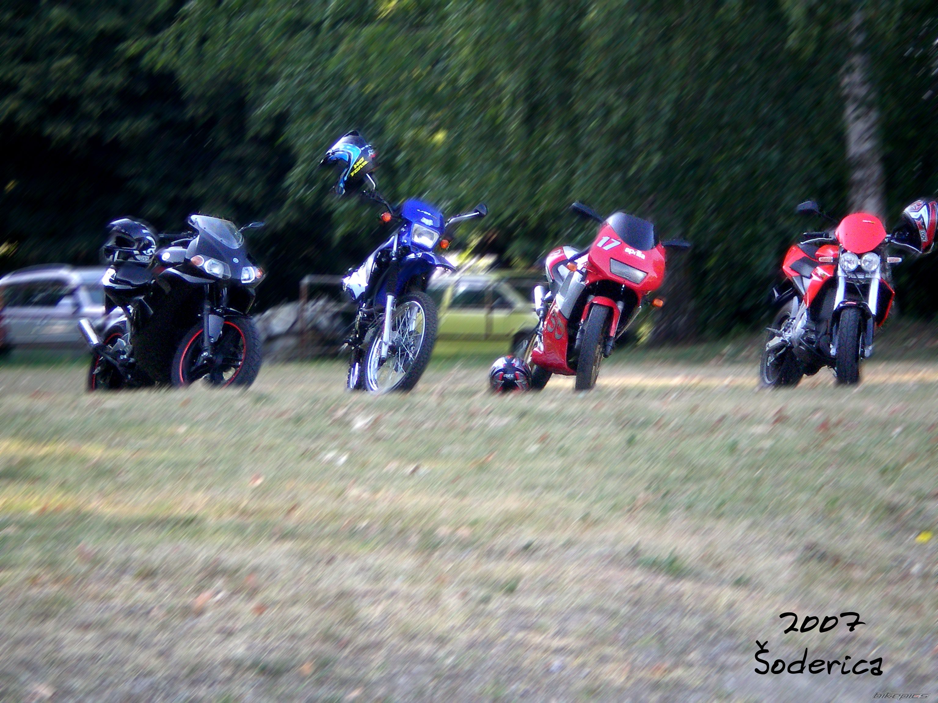 Photo 1004957