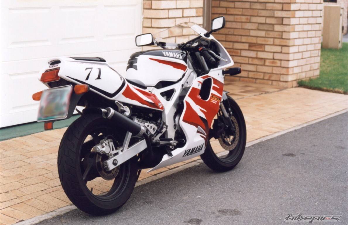 Photo 100499