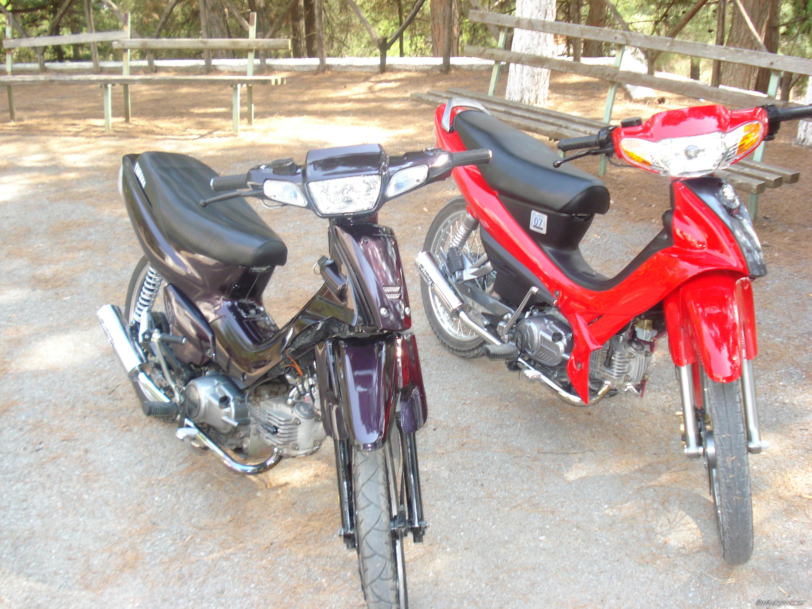 Photo 1004997