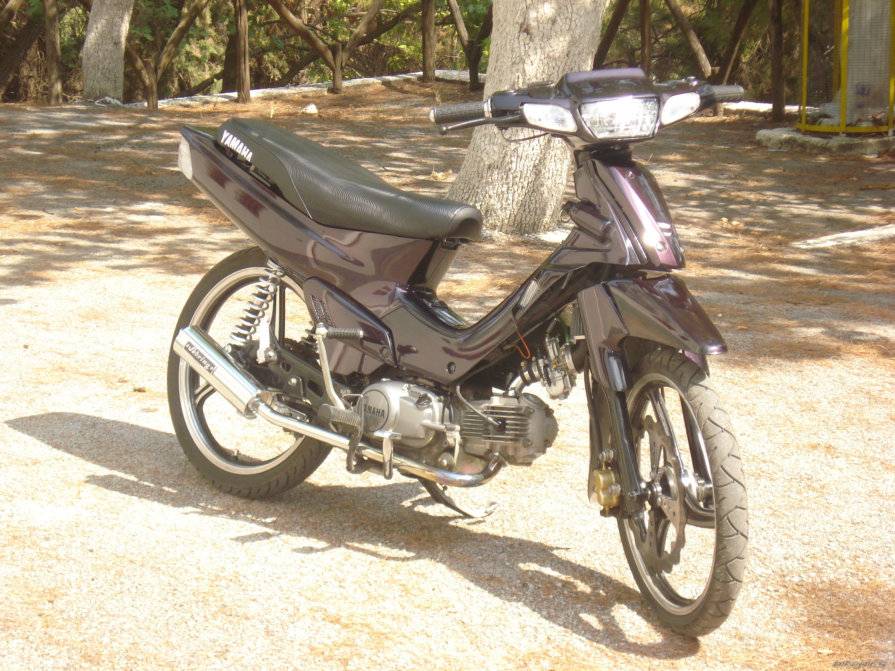 Photo 1005015