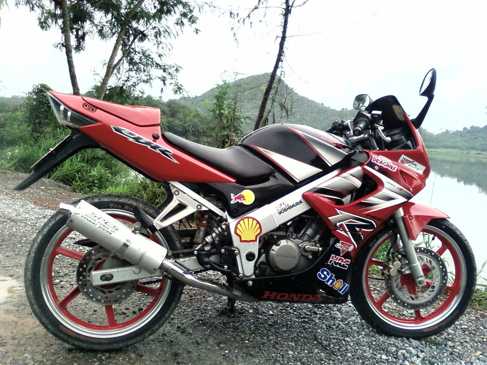 Photo 1005031